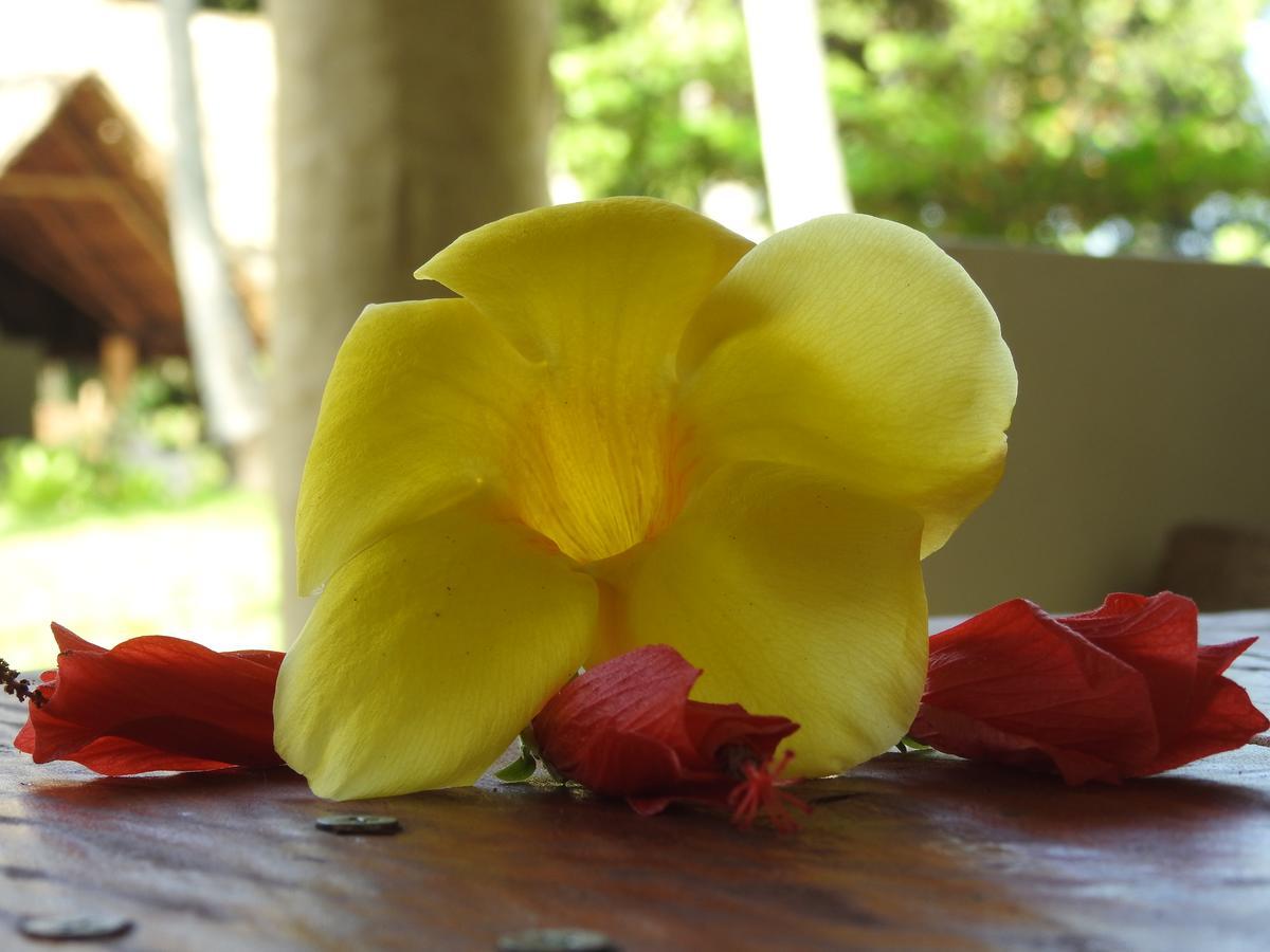 Mafia Island Mafia Kivulini Lodge المظهر الخارجي الصورة
